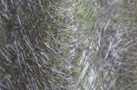 Criccieth fibreglass roof work